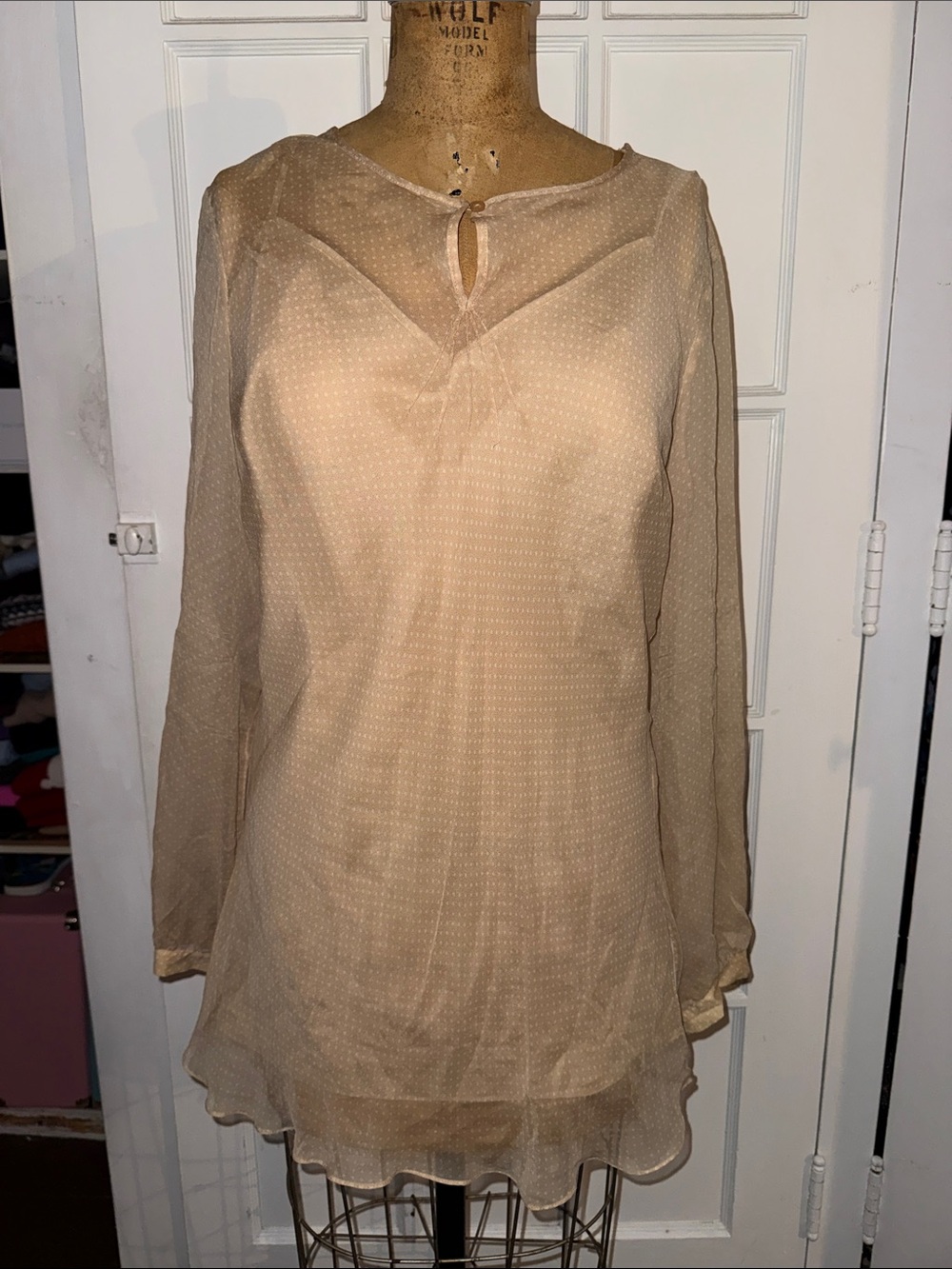 Vintage Women’s Sheer Silk Long-Sleeve Beige Blouse